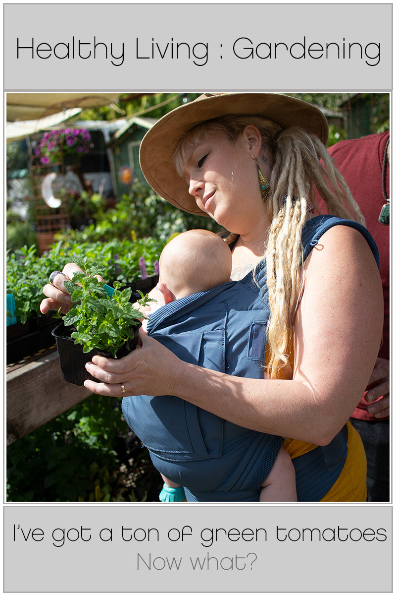 Healthy Living: Gardening. I’ve got a ton of green tomatoes! Now what?